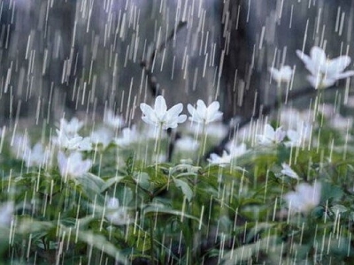 از آب نیسان، باران شفابخش بهاری غافل نشوید