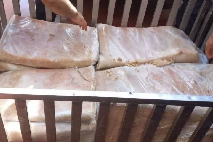 معدومسازی ۱۲۰۰ کیلوگرم خمیرمرغ فاسد در قم معدومسازی ۱۲۰۰ کیلوگرم خمیرمرغ فاسد در قم